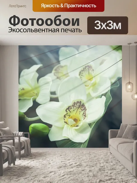 Фотообои Орхидеи через окно автомобиля