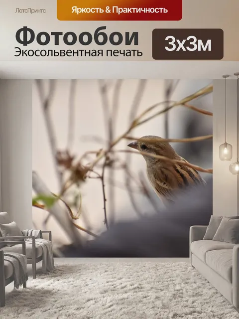 Фотообои Воробей