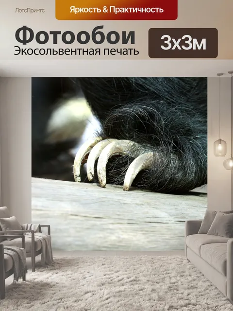 Фотообои Лень Медведь когти