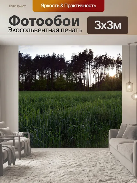 Фотообои Поле