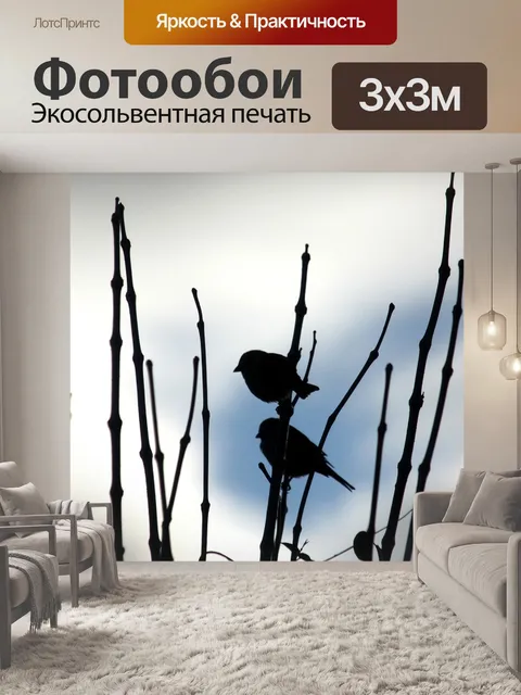 Фотообои Птица