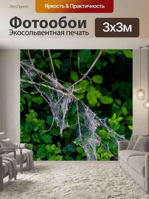 Фотообои Дерево
