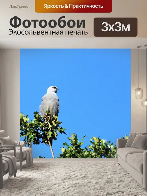 Фотообои Миссисипи Кайт в Дереве Вверх