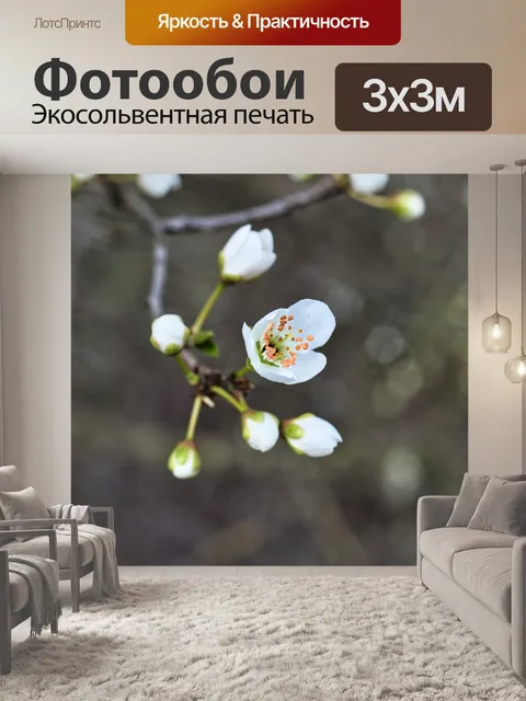 Фотообои Цветы