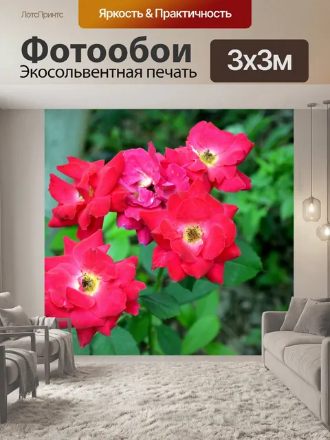 Фотообои Летние розы