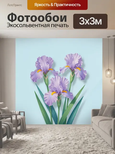 300 × 300 см · Экосольвентная печать
