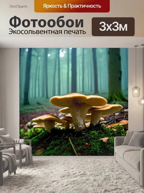 Фотообои грибы грибница в туманном лесу, с таинственным светом и силуэтами деревьев на заднем плане