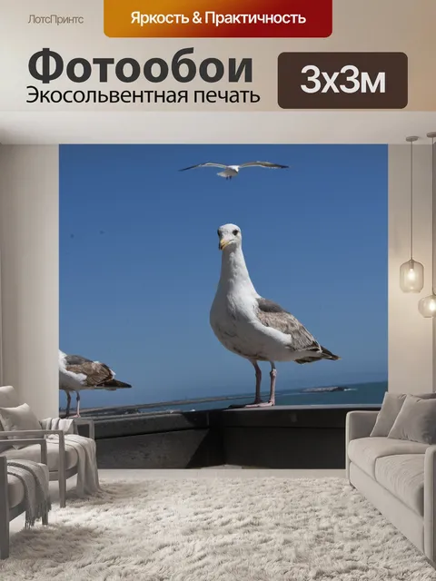 Фотообои чаек