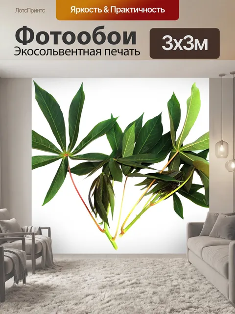 Фотообои Листья маниоки