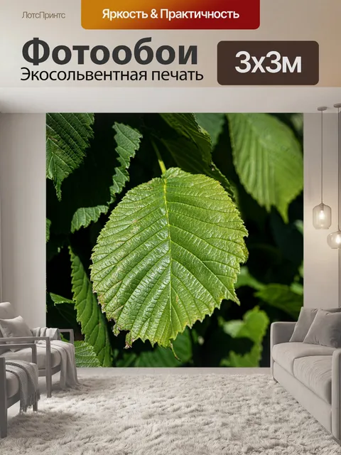 Фотообои Листья