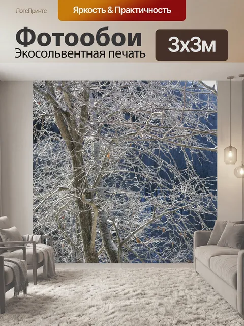 Фотообои Лед на ветвях деревьев