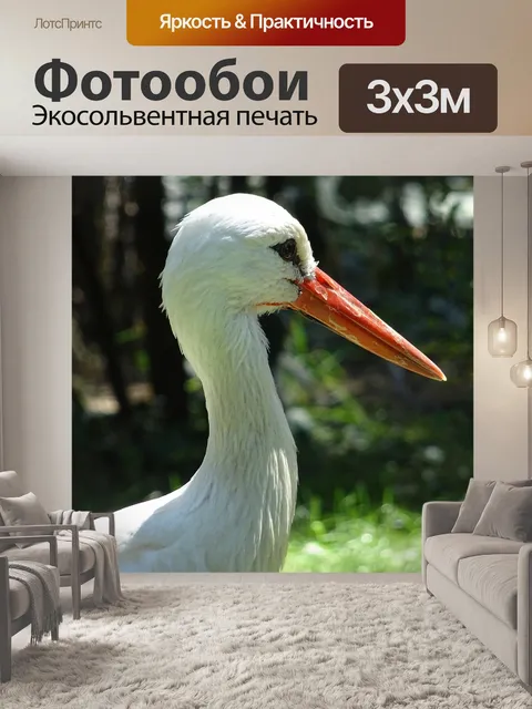 Фотообои Аист