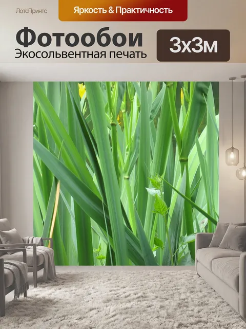 Фотообои Листья