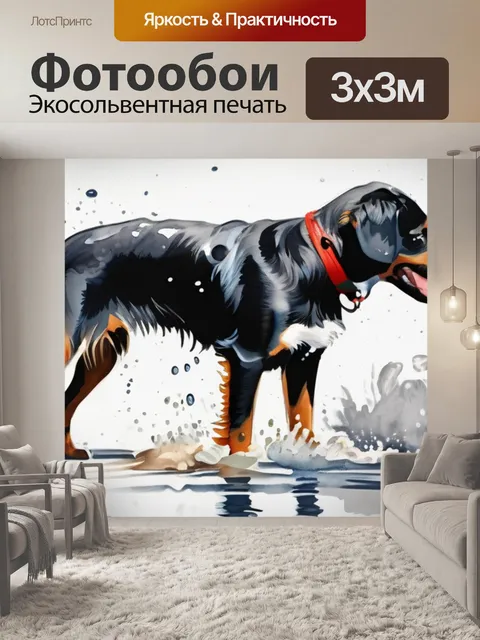 Фотообои собаки бубубу