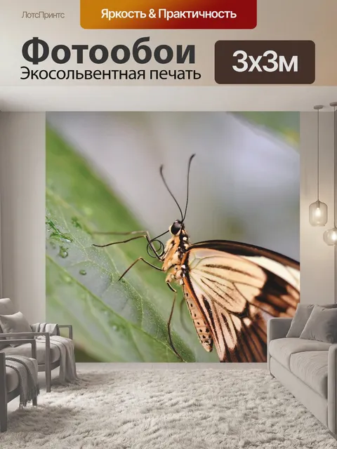 Фотообои Бабочка