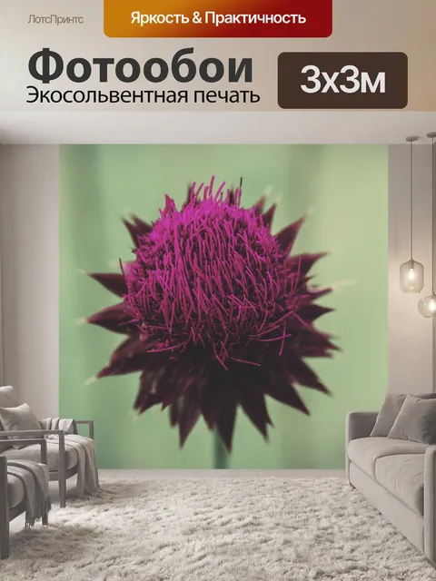 Фотообои Цветок