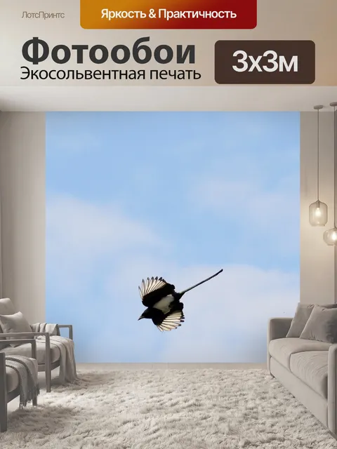 Фотообои Сорока
