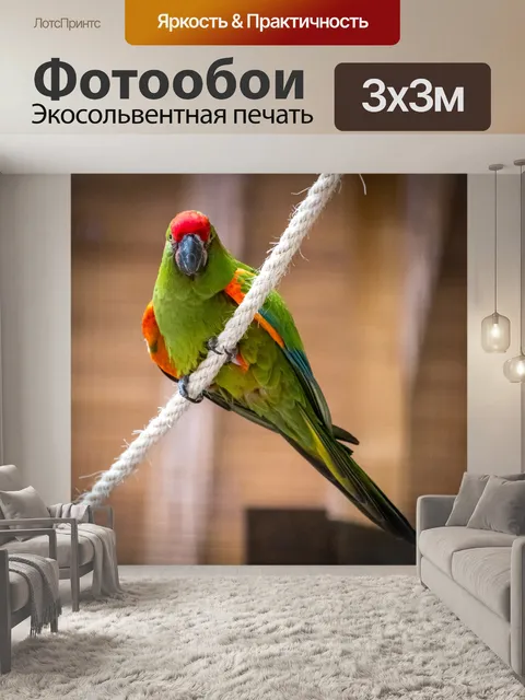 Фотообои Зеленая ара