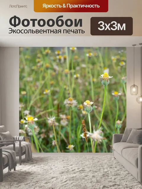 Фотообои Цветы