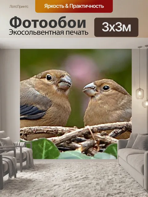 Фотообои Животное