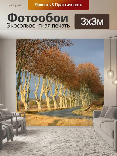 Фотообои Деревья