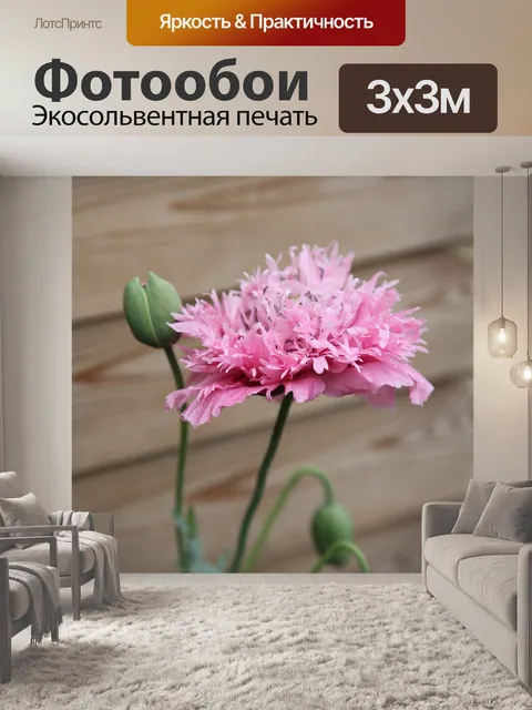Фотообои Розовый