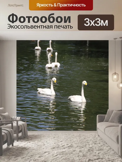 Фотообои Лебеди