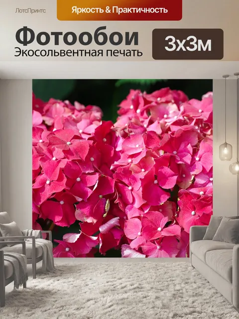 Фотообои Гортензии