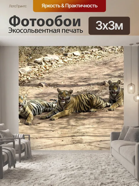 Фотообои Тигры