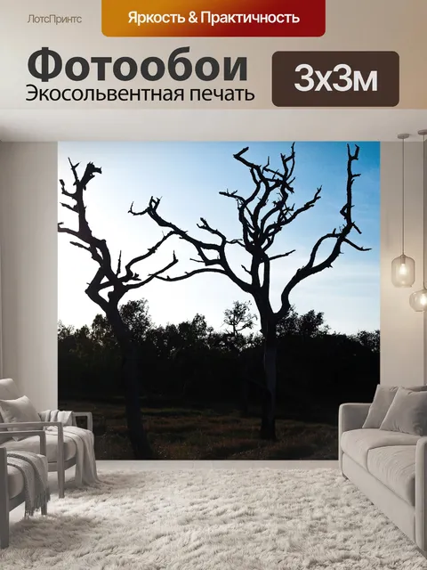 Фотообои Мертвое дерево, силуэт дерева
