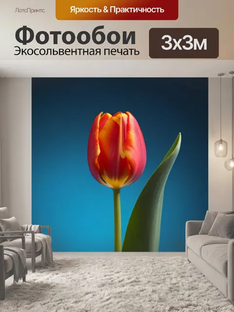 Фотообои стильный минимализм с одиночным тюльпаном