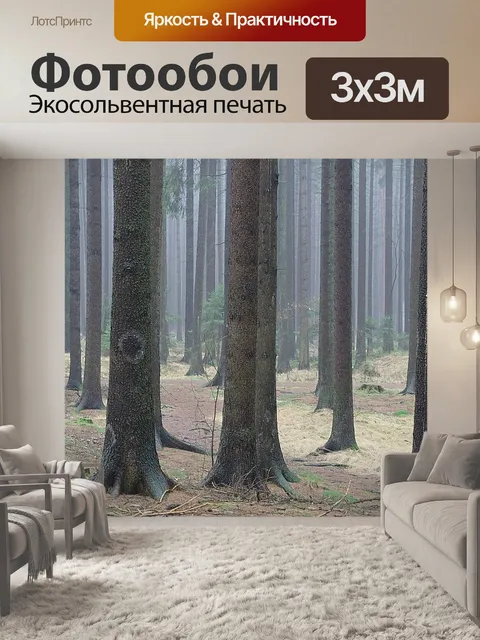 Фотообои Еловый лес