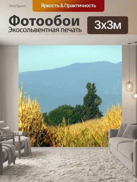 Фотообои Кролик