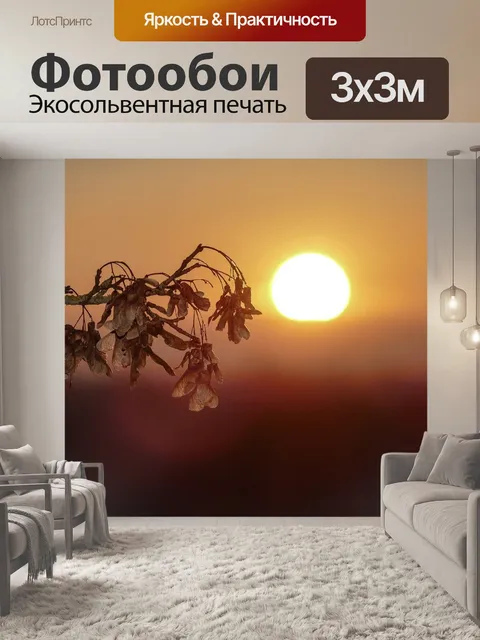 Фотообои Закат