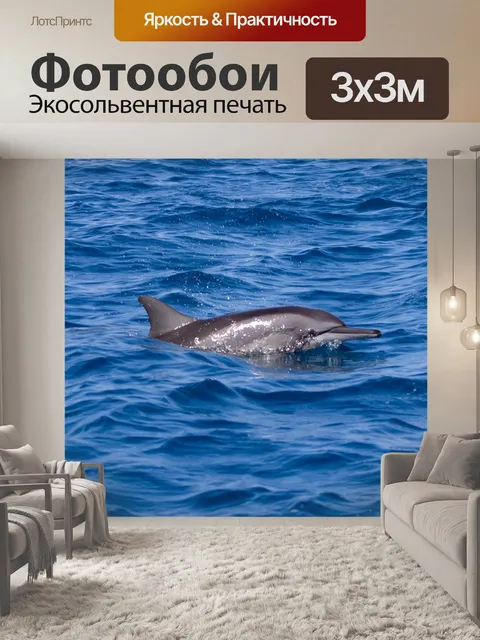 Фотообои Дельфин