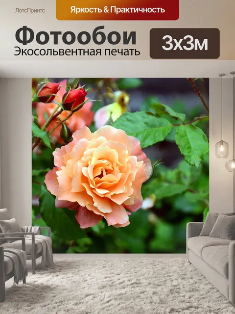 Фотообои Розы