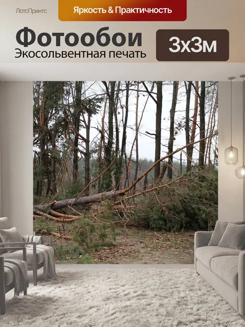 Фотообои Дерево