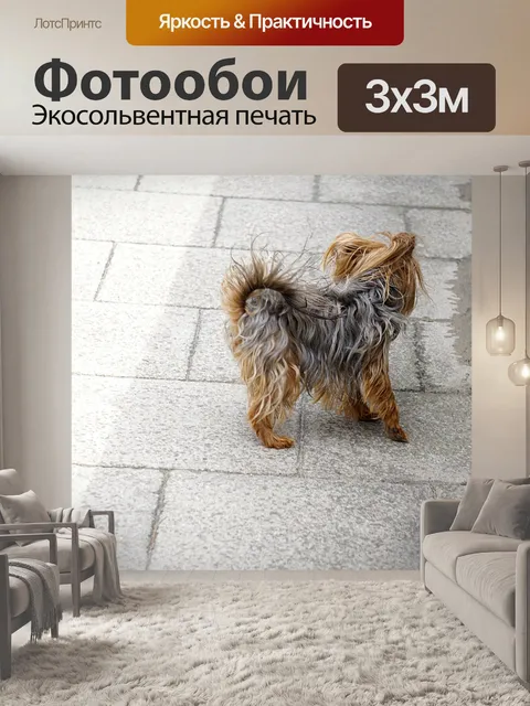 Фотообои Йорки