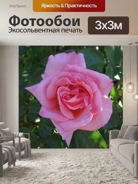 Фотообои Розы