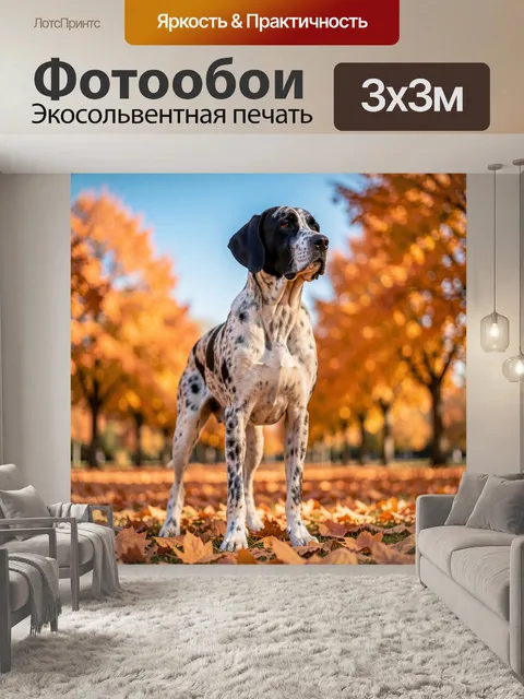 Фотообои Большая собака породы немецкий дог с черно-белым мраморным окрасом