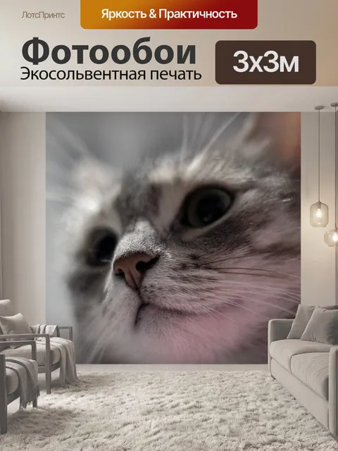 Фотообои Кошка