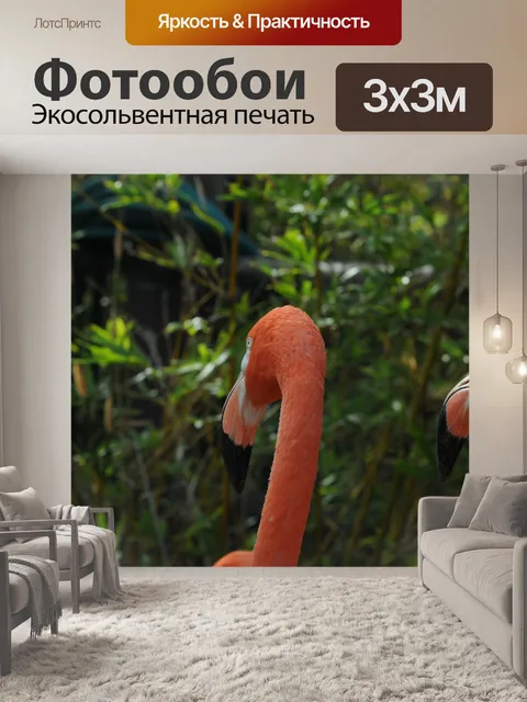 Фотообои Два фламинго