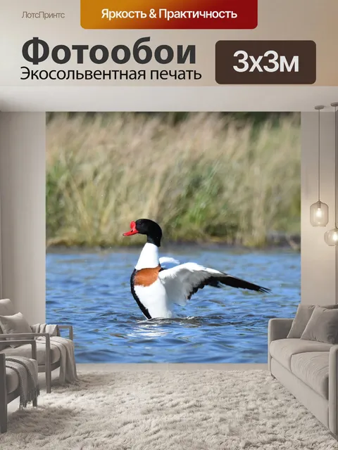 Фотообои Птицы