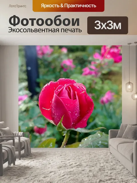 Фотообои Розы