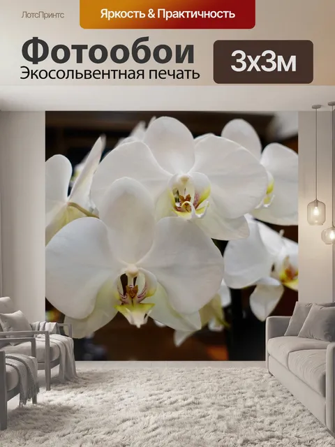 Фотообои Цветы