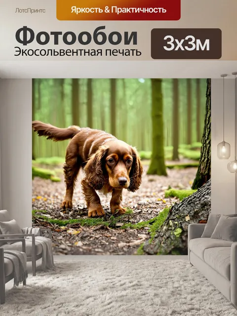 Фотообои кокер-спаниель, исследующий лес, увлеченно нюхающий землю и кору деревьев