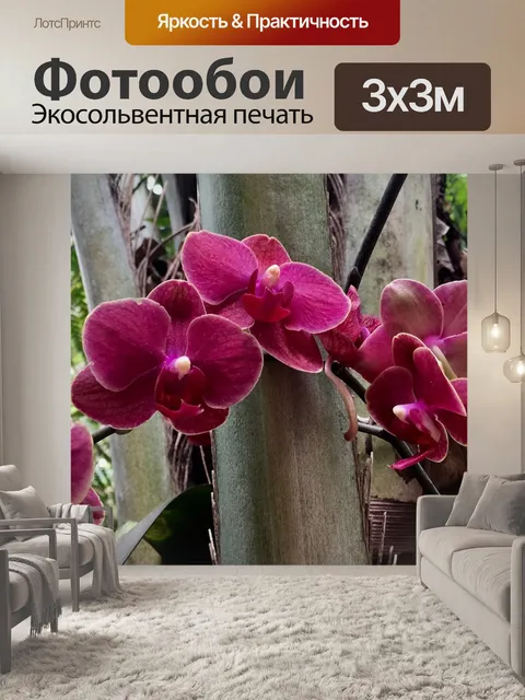 Фотообои Орхидеи