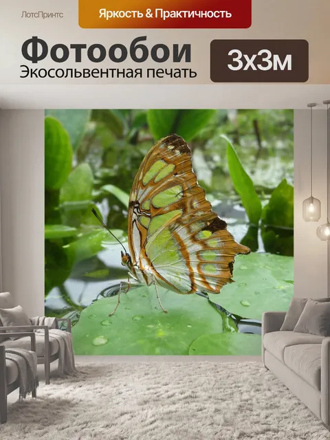 Фотообои Малахитовая бабочка