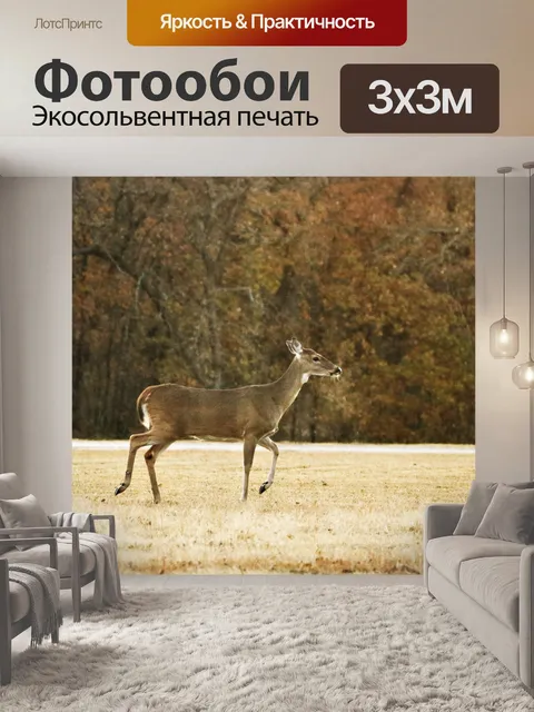 Фотообои Белохвостая лань осенью 3