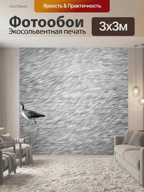 Фотообои Эскиз птиц